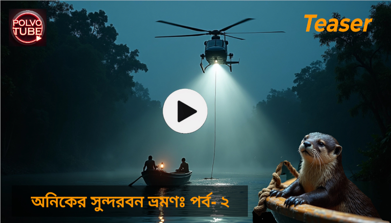 mangrove forest mangrove forest sundarban mangrove sundarbans ম্যানগ্রোভ বন ম্যানগ্রোভ বন কাকে বলে